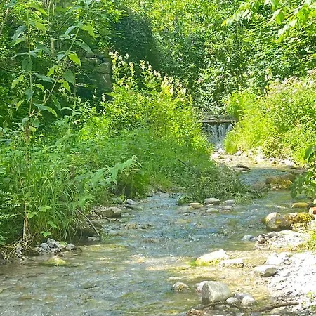 Mondholz - Urban 24-7